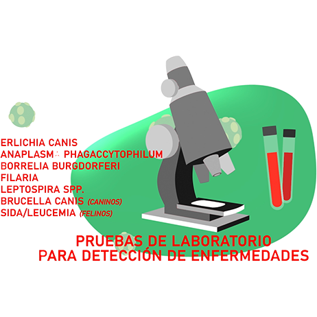 beneficio4